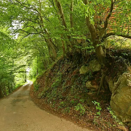 In Sougne-remouchamps Countryside, Cleaning Included Aywaille