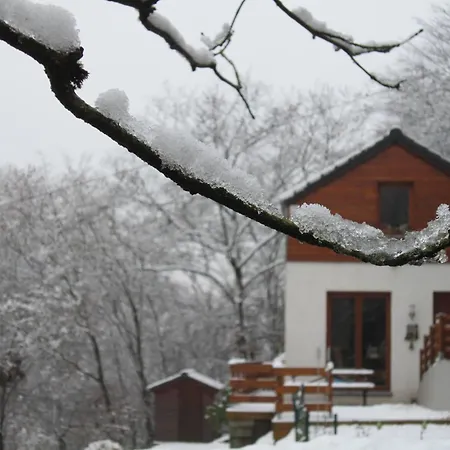 In Sougne-remouchamps Countryside, Cleaning Included Holiday home