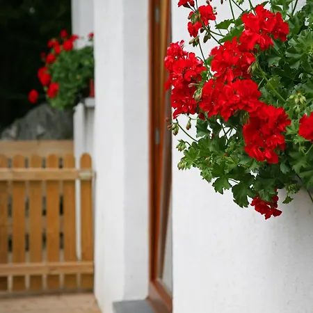 With A Terrace And A View Of The Valley , Cleaning Included Aywaille